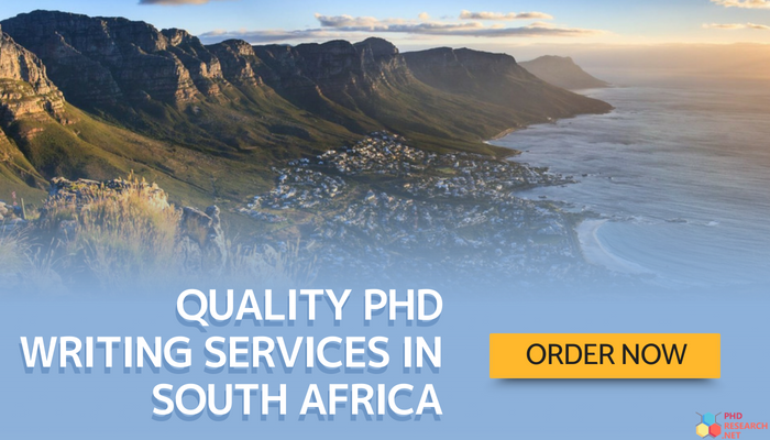 online phd in south africa